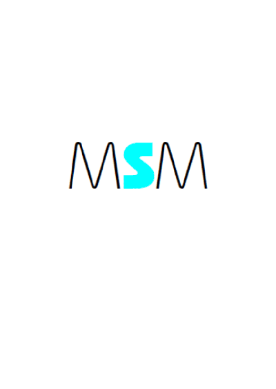 MSM Maschinen-Stahl-Metallbau GmbH Logo