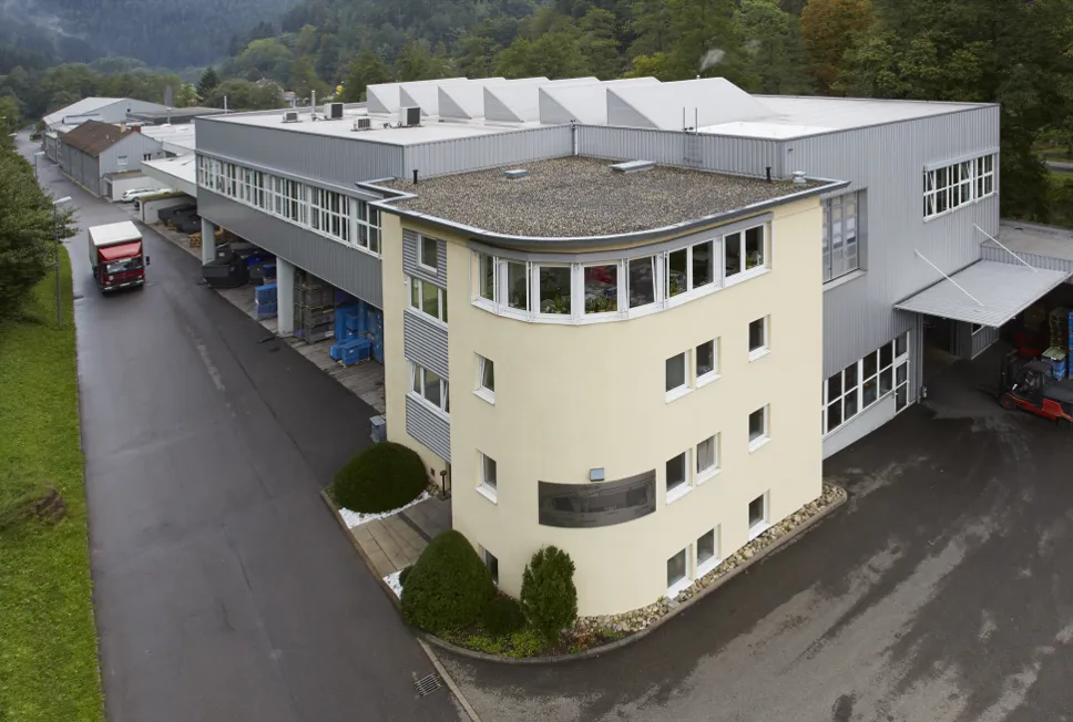 Stammsitz Wildberg