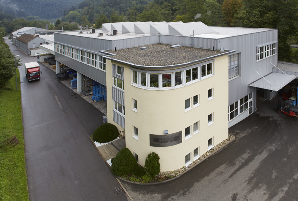 Stammsitz Wildberg