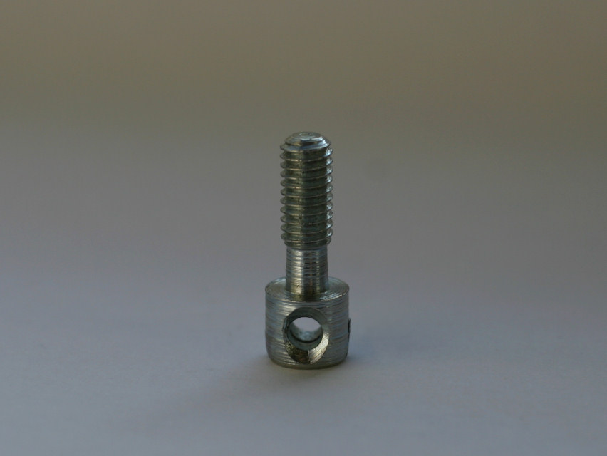 Screw for counter security