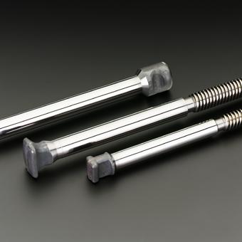 Hammerkopfspindeln