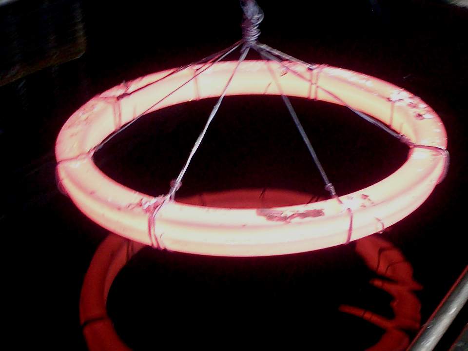 Dichtungsring