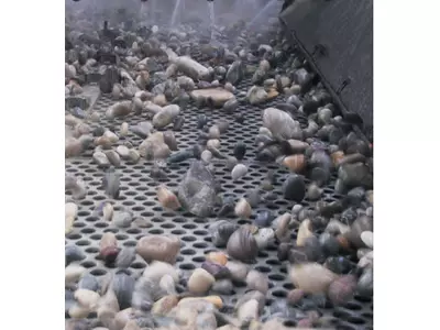 Perforated metal for vibrating screening machines and trommels