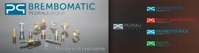 Logo di Brembomatic Pedrali Group srl