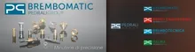 Brembomatic Pedrali Group  srl Logo