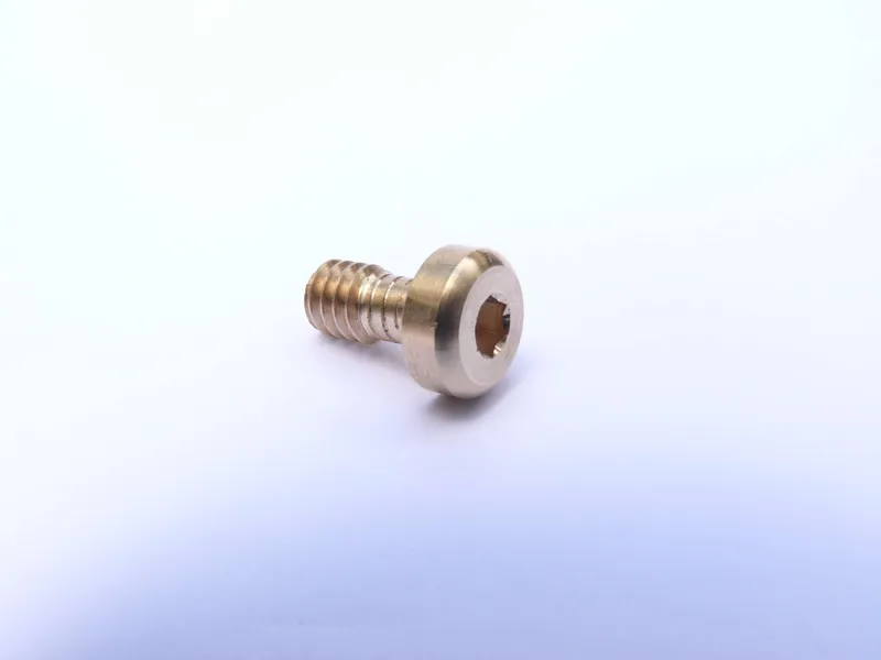 Screw for counter security
