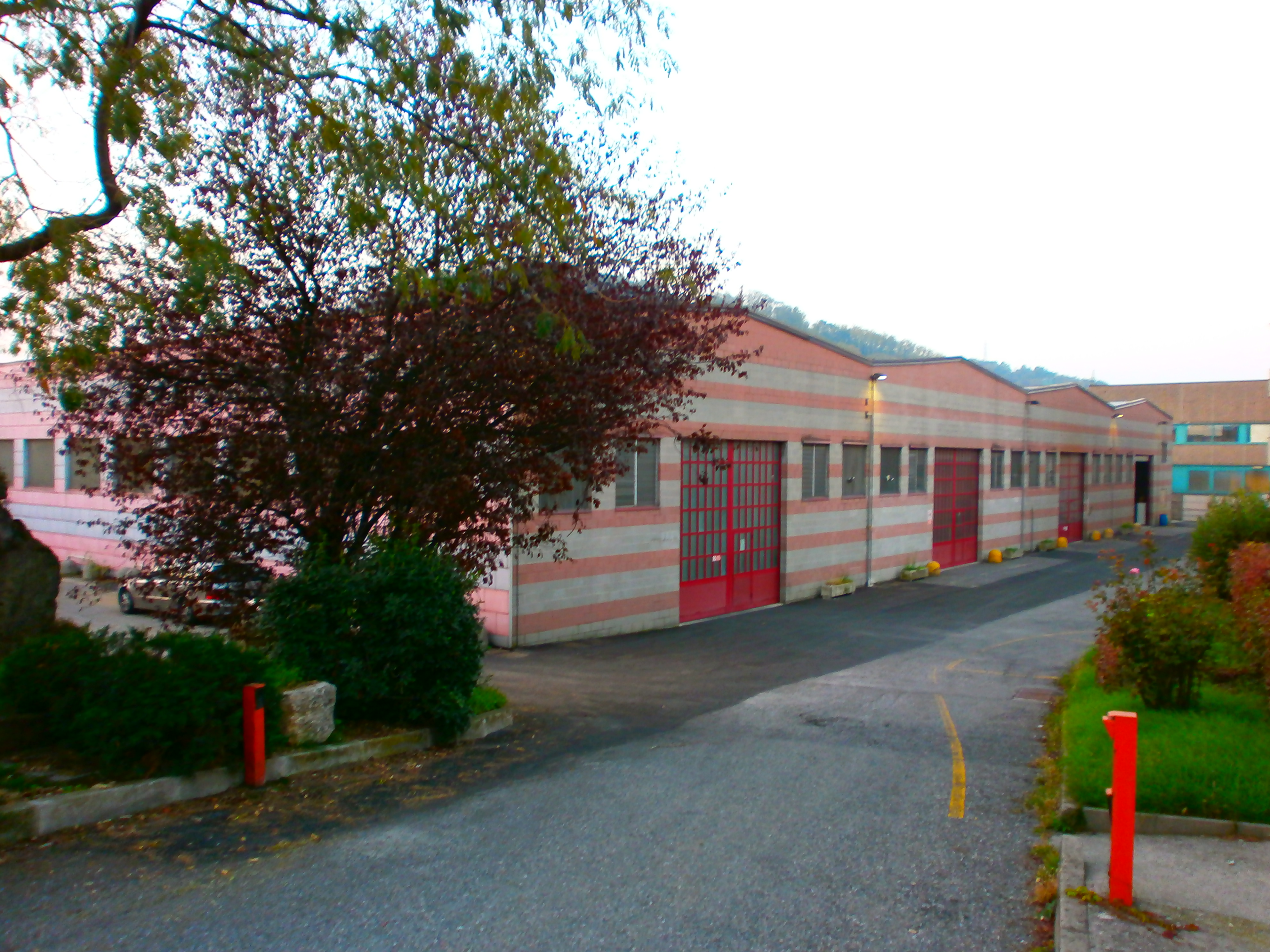 PA250120.JPG