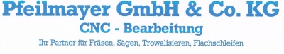 Pfeilmayer GmbH & CO. KG Logo