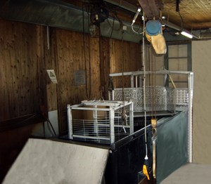 Beizbecken