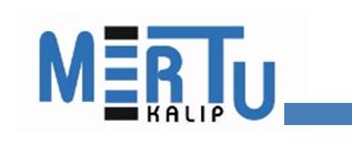 Mertu Müh. Kalıp Plastik San. Tic. Ltd. Sti. Logo