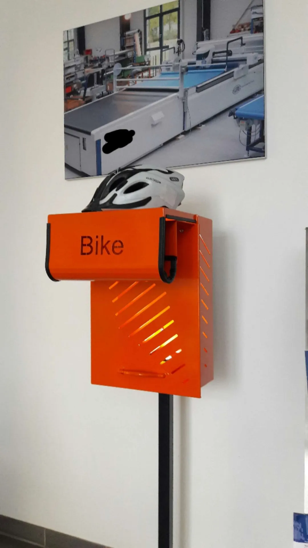 Bike Boy