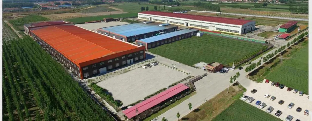 Libo GmbH