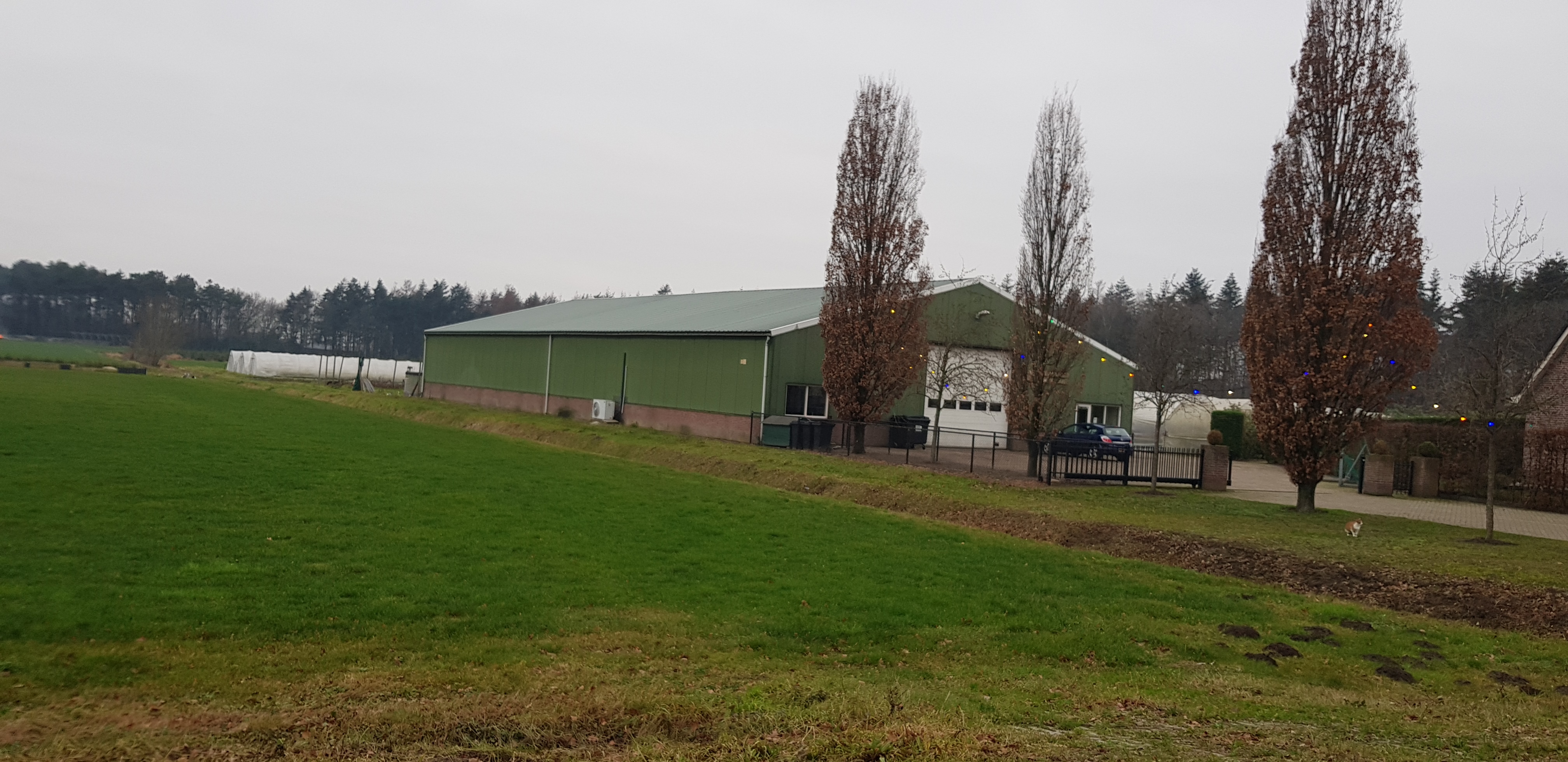 the building 30x20m