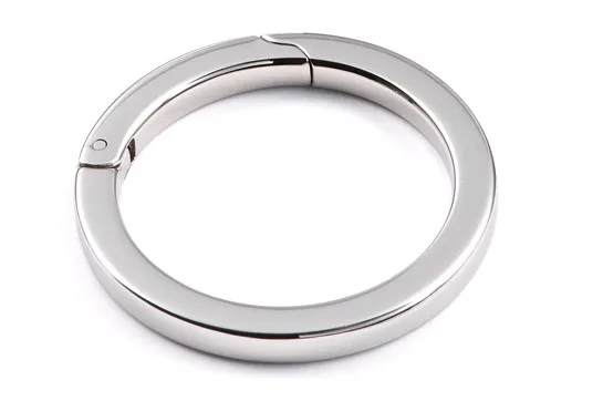 Scharnierring
