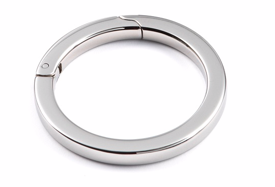 Scharnierring