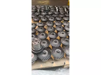 corona gleason terna conica