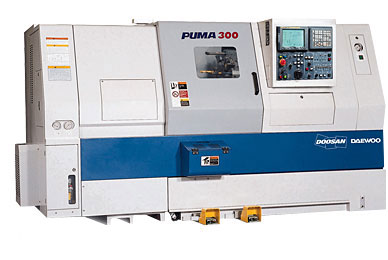 PUMA 300