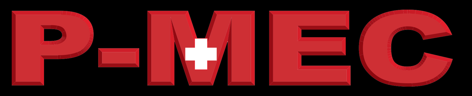 P-Mec Sagl - Feinmechanische Werkstatt Logo