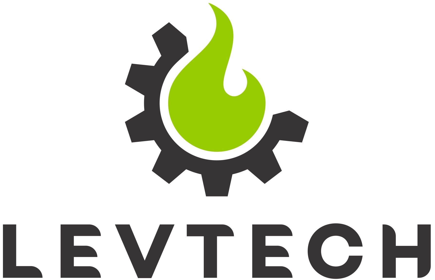 LEVTECH SERVICE & PRODUCTION SRL Logo
