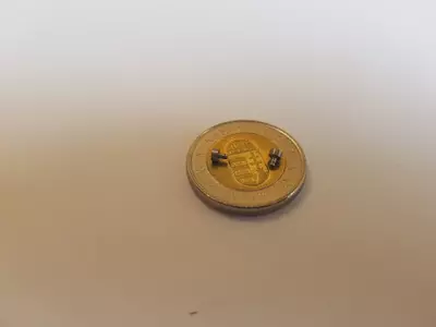 Schnellkuppplungen durch Lupe