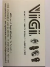 VIGI SNC Logo