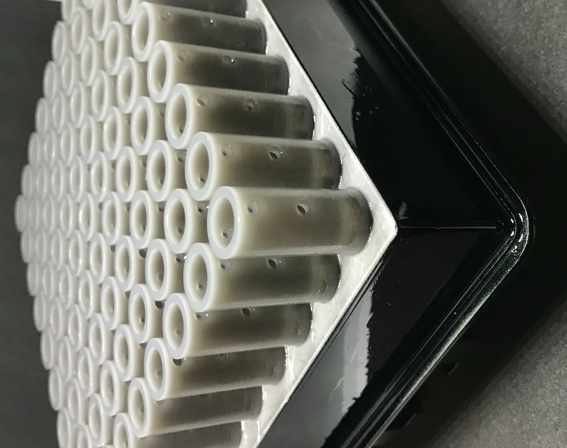 Certainlbex (Formlabs 2)