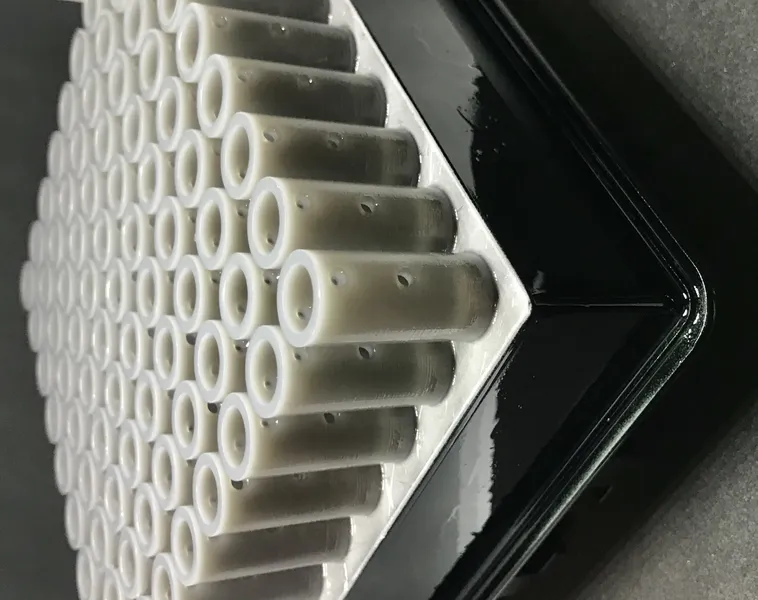 Certainlbex (Formlabs 2)