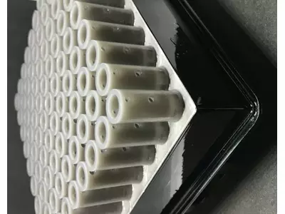 Certainlbex (Formlabs 2)