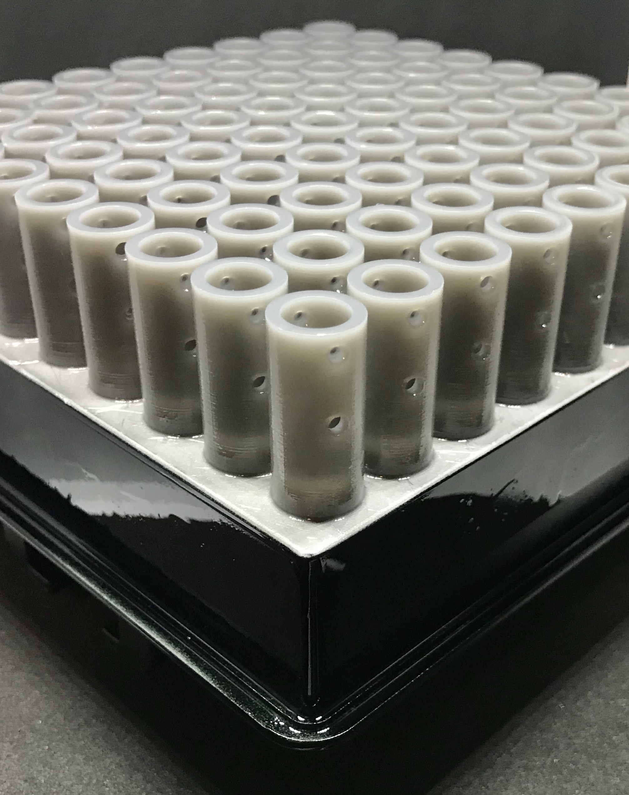 Certainlbex (Formlabs 2)