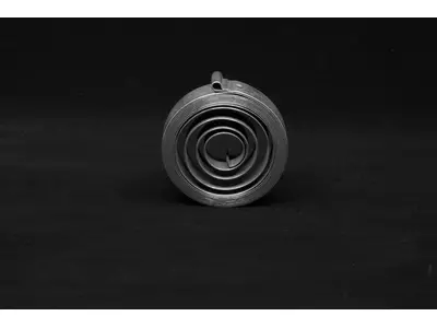 Roll, Trieb, Spiralfedern