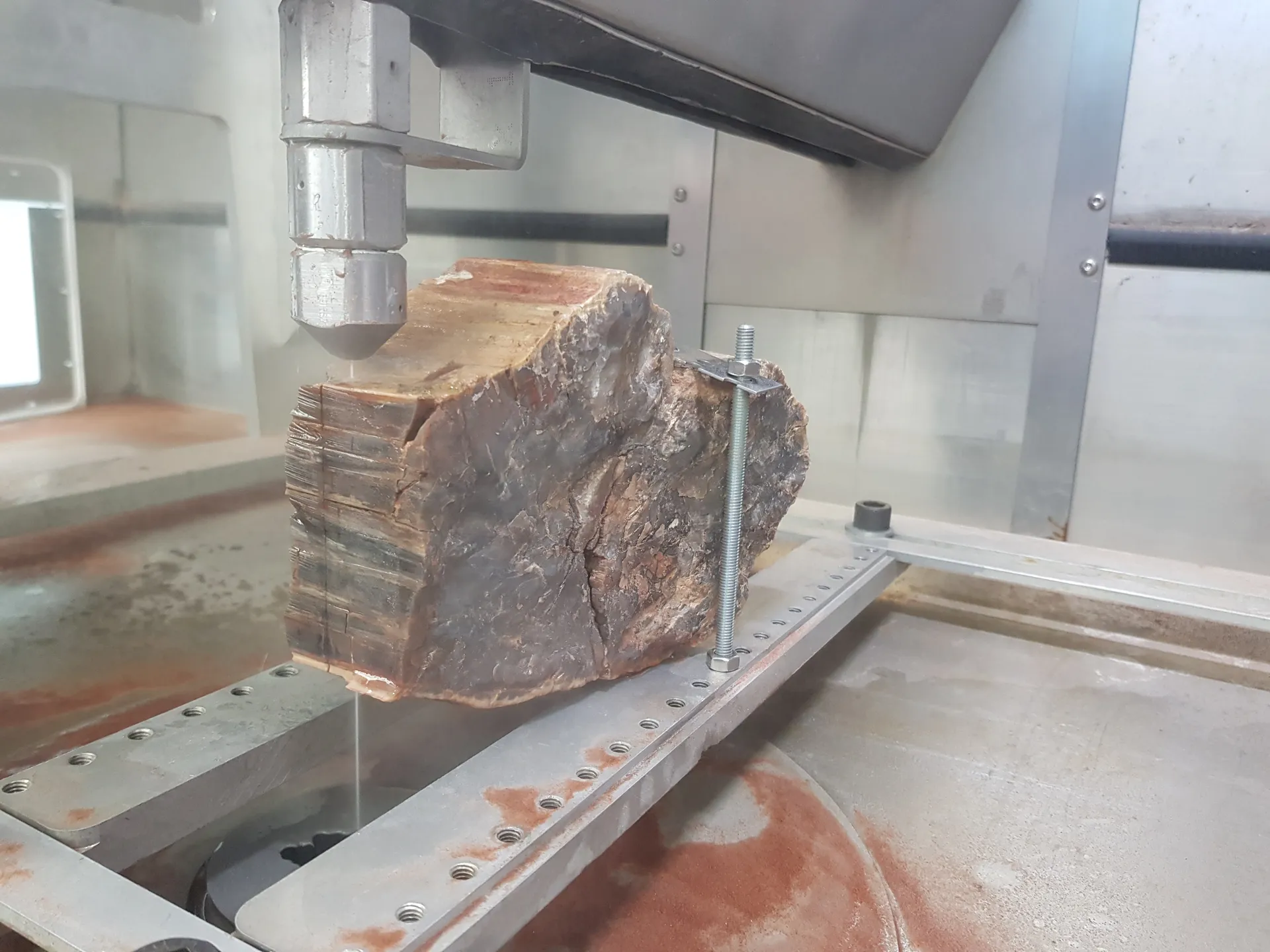 Versteinertes Holz