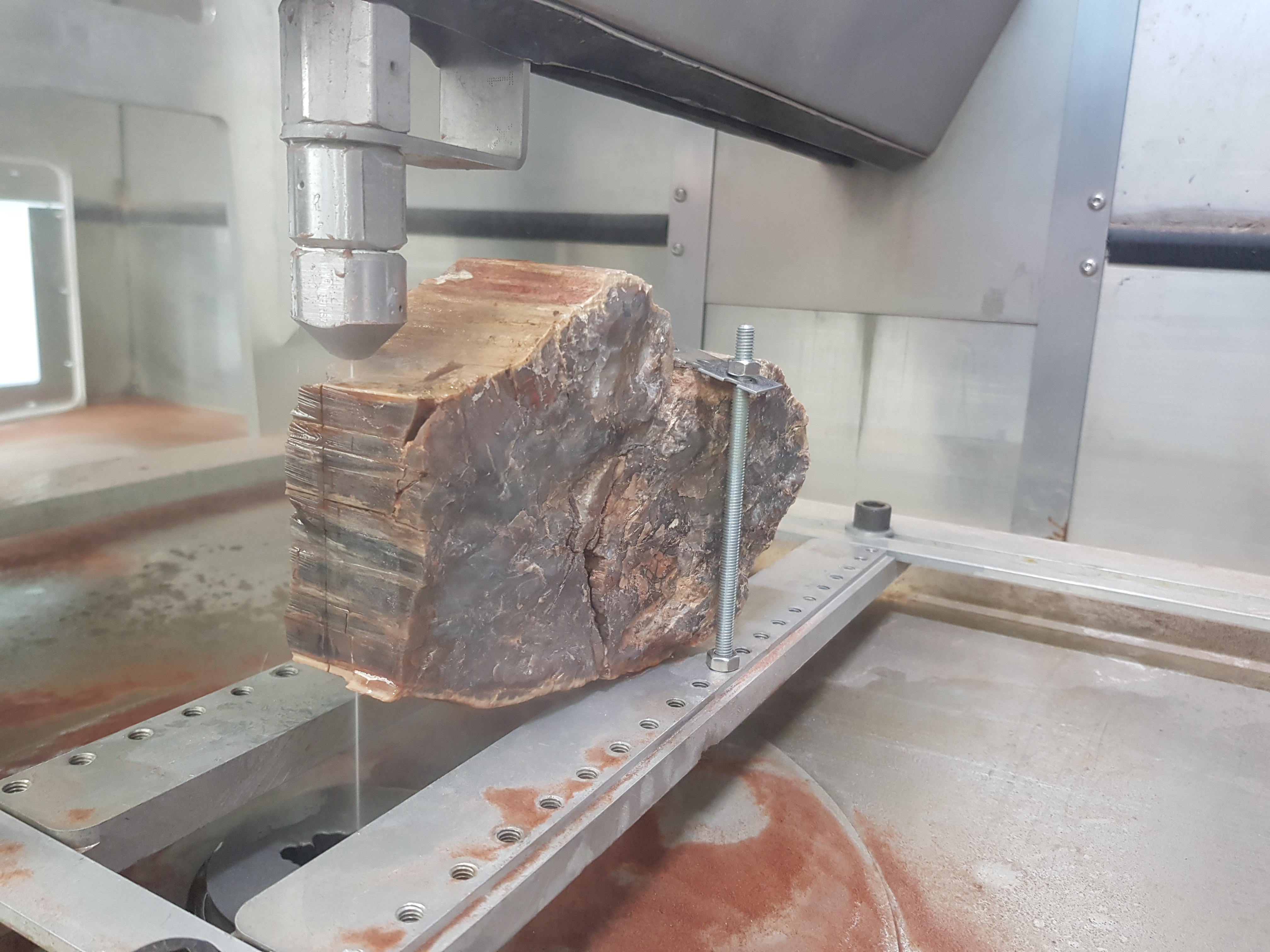Versteinertes Holz