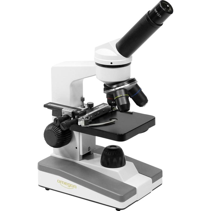 MICROSCOPIO VISION