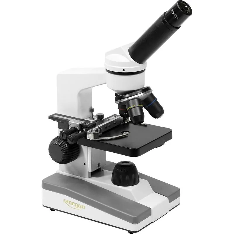 MICROSCOPIO VISION