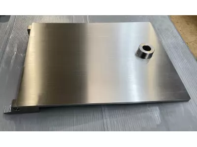 Maschinentür VA (1.4301)