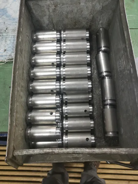 bolz
