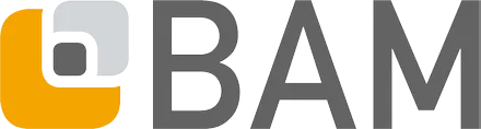 Logo di BAM GmbH