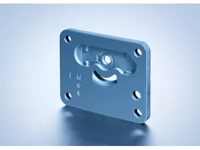 Valve Plate (Sinter / Powder Metal)