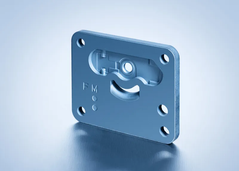 Valve Plate  (Sinter / Powder Metal)