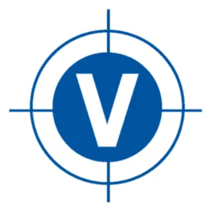 Logo di Viglienghi srl