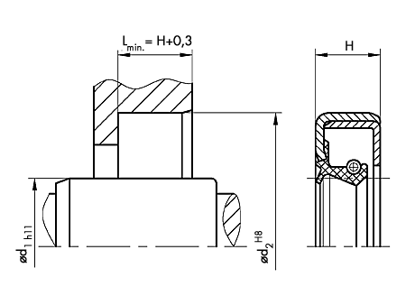 Oil seals