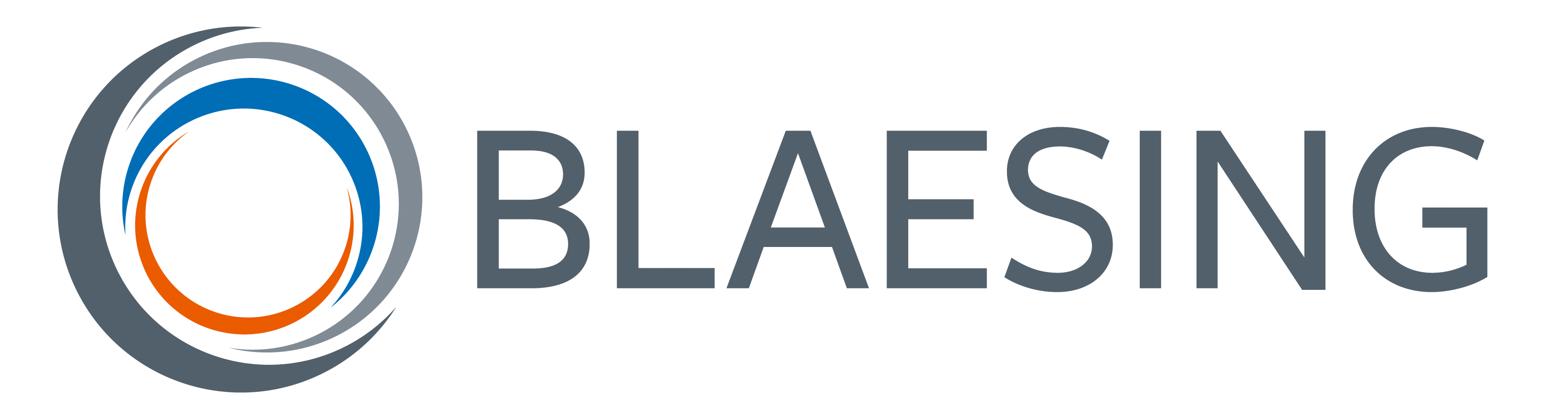 Blaesing GmbH Logo
