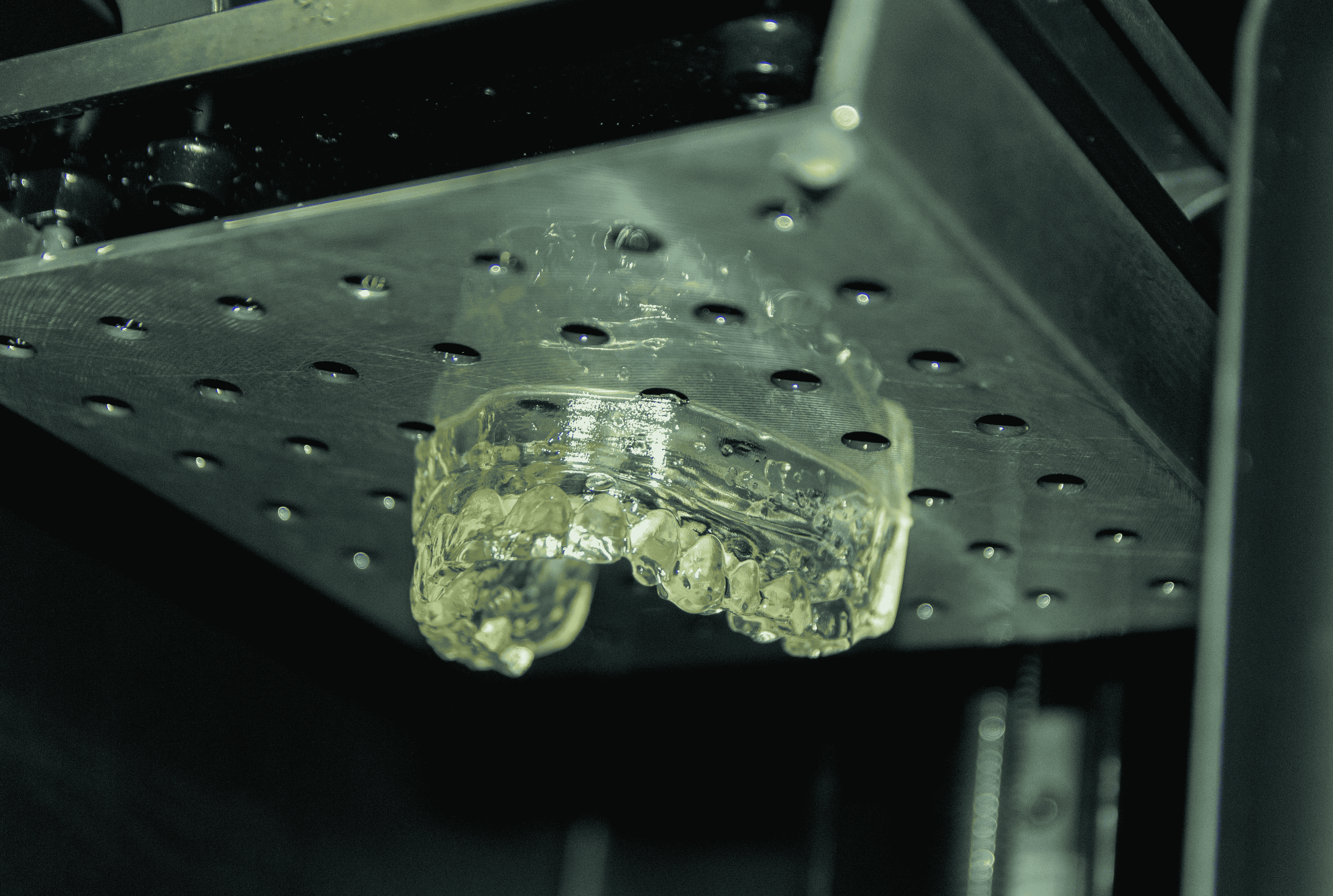 Dental prosthesis model