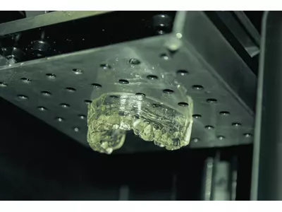 Dental prosthesis model