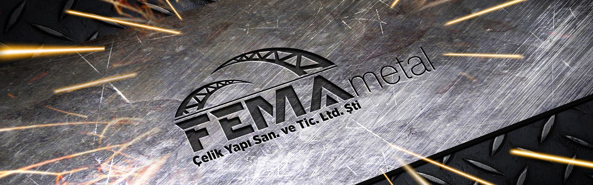 Fema Logo