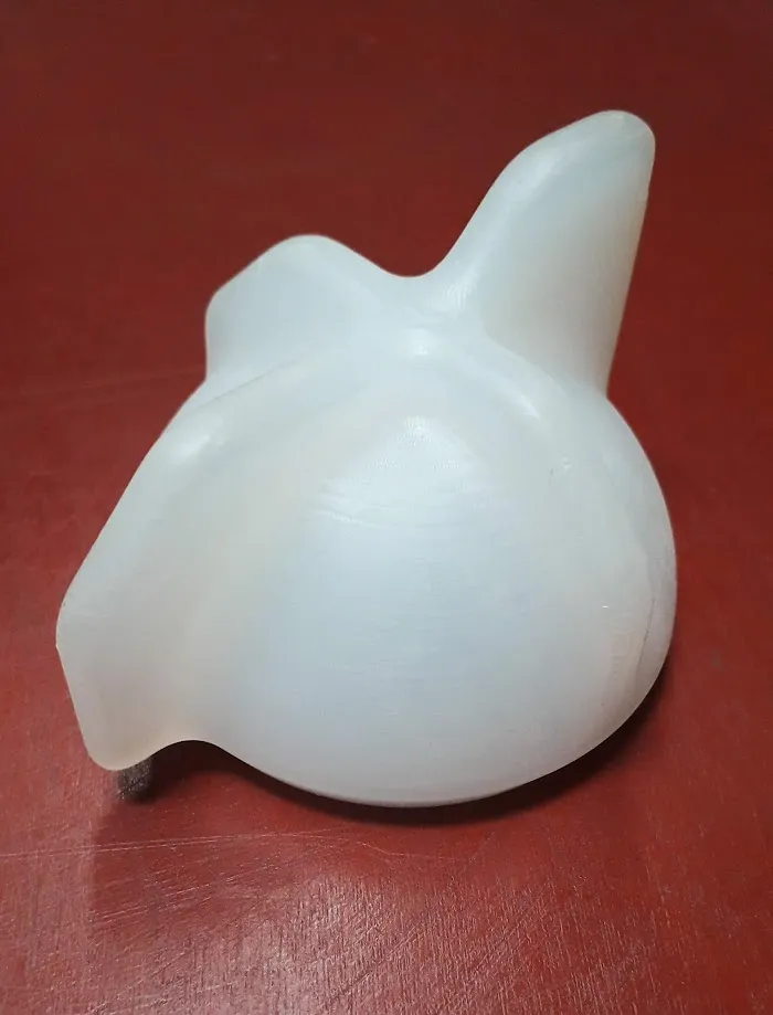 calotta protesica
