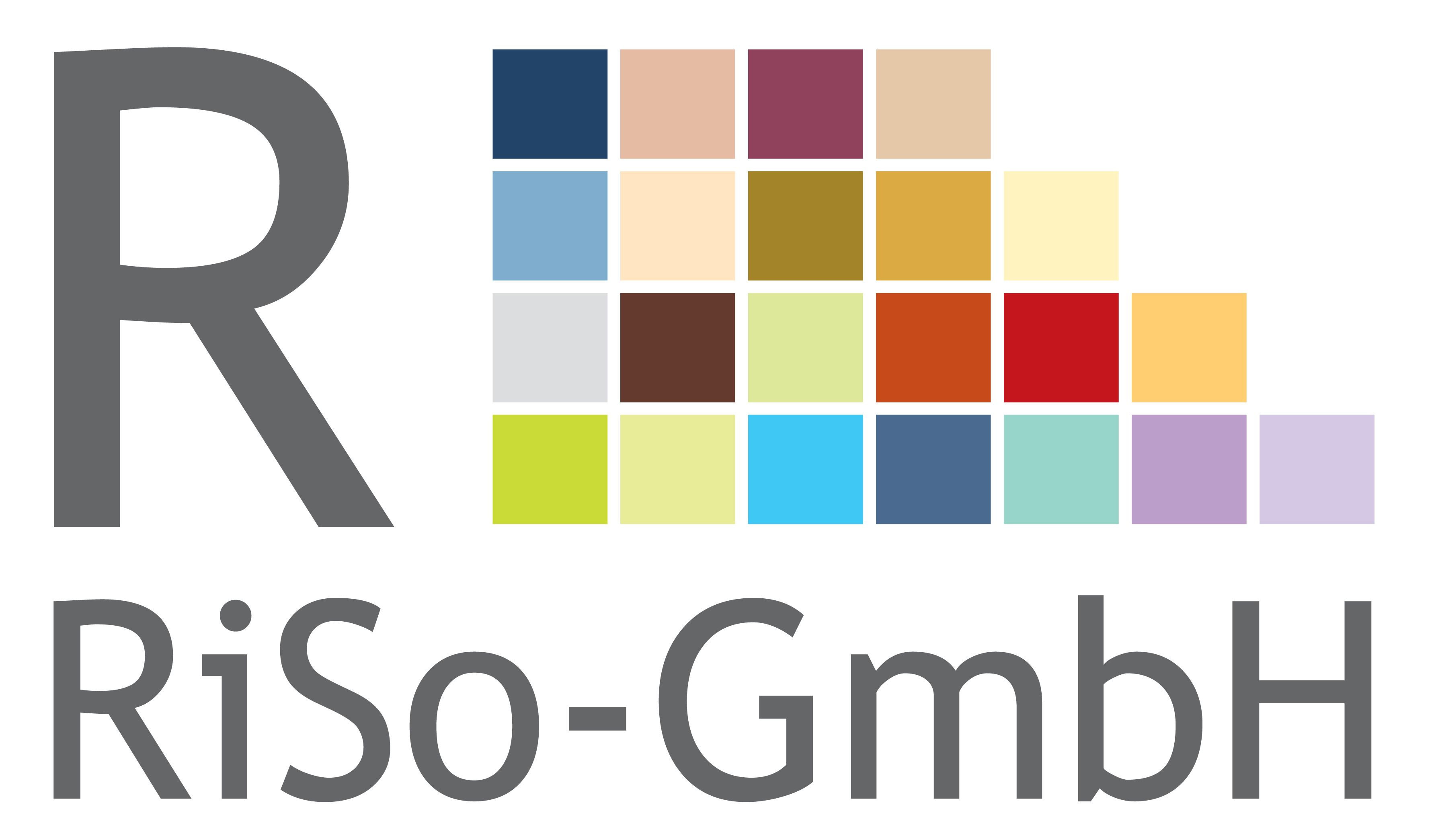 RiSo GmbH Logo