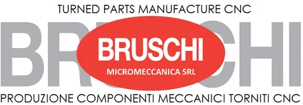 Logo von Bruschi micromeccanica srl