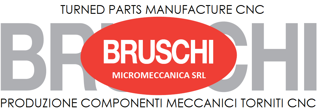 Bruschi micromeccanica srl Logo