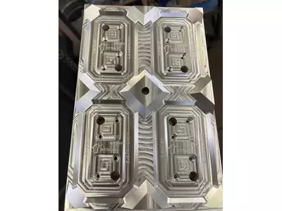 food mold
